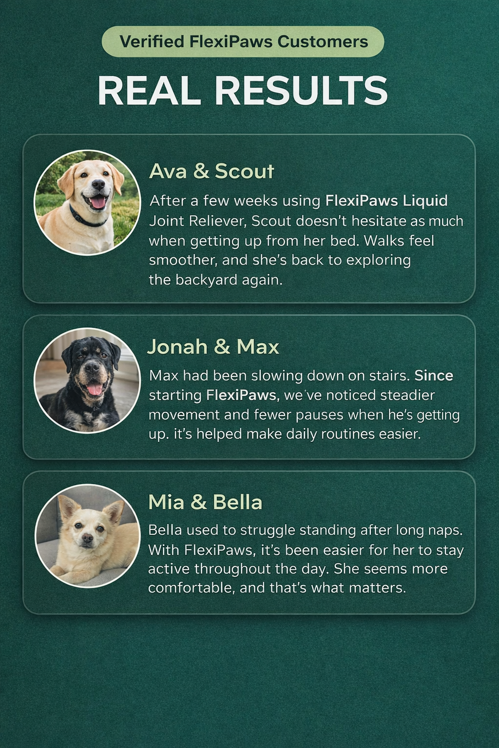 Support Your Dog’s Comfort & Mobility With A Simple Daily Liquid Routine