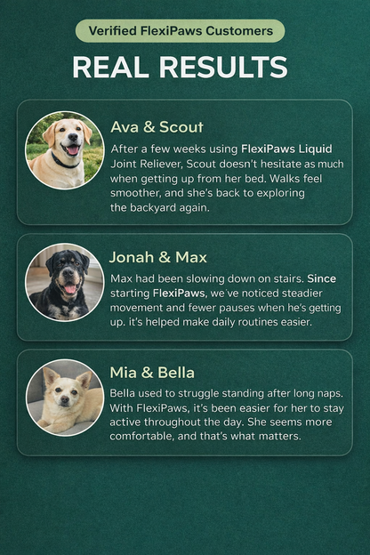 Support Your Dog’s Comfort & Mobility With A Simple Daily Liquid Routine