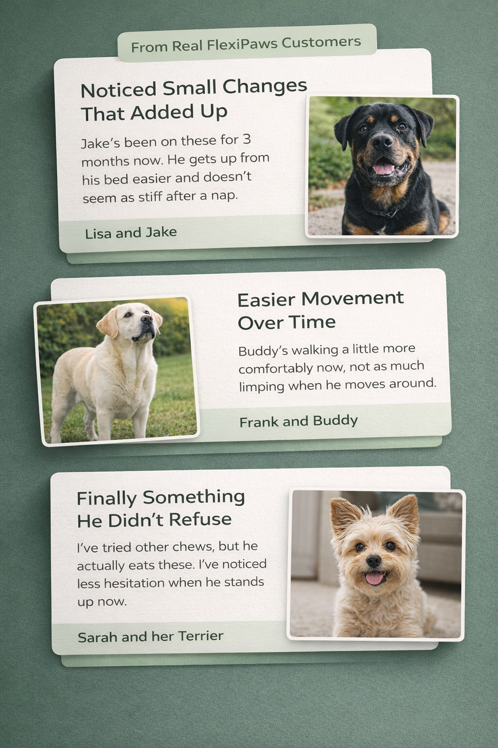 Support Your Dog’s Comfort & Mobility With A Simple Daily Liquid Routine