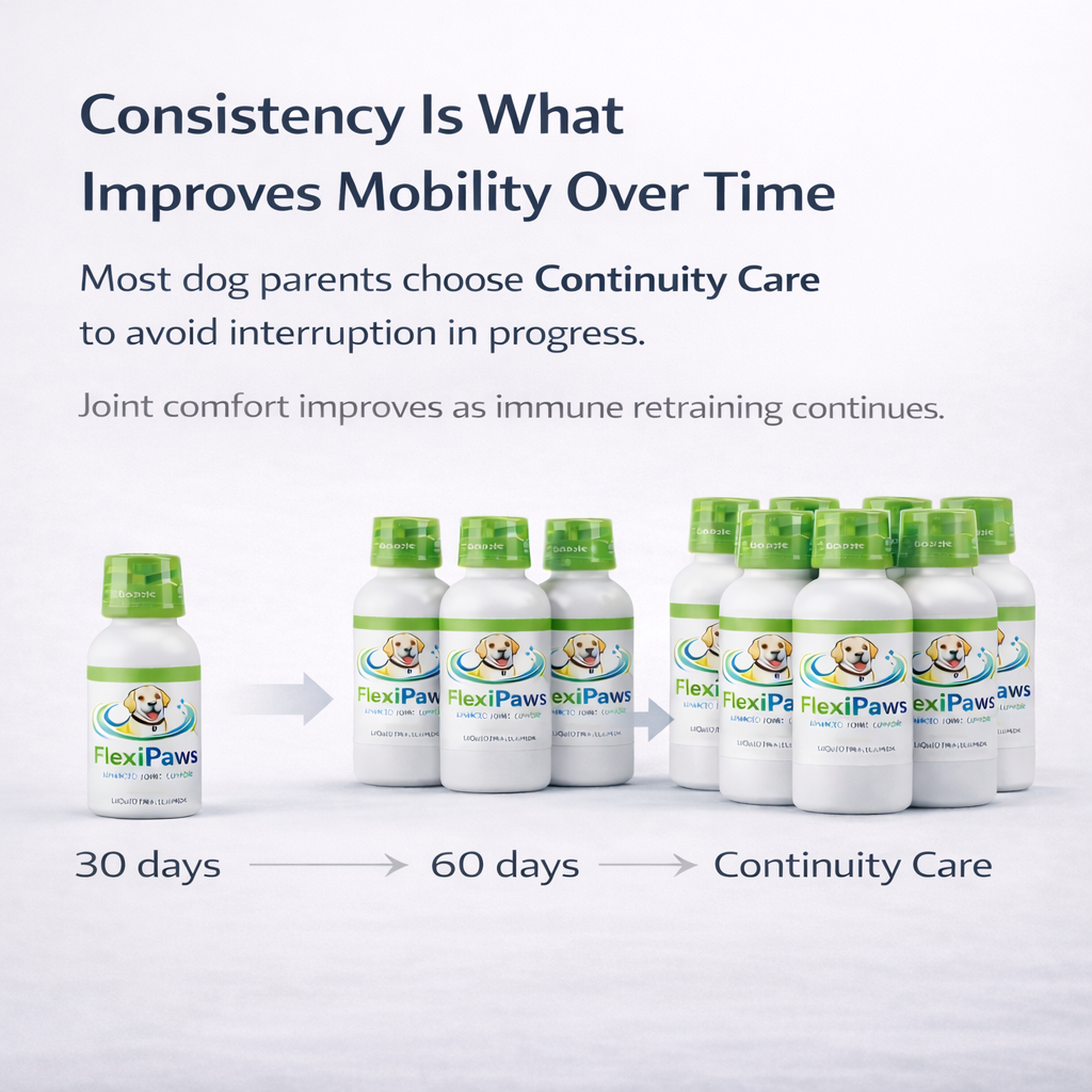 Support Your Dog’s Comfort & Mobility With A Simple Daily Liquid Routine