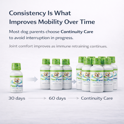 Support Your Dog’s Comfort & Mobility With A Simple Daily Liquid Routine